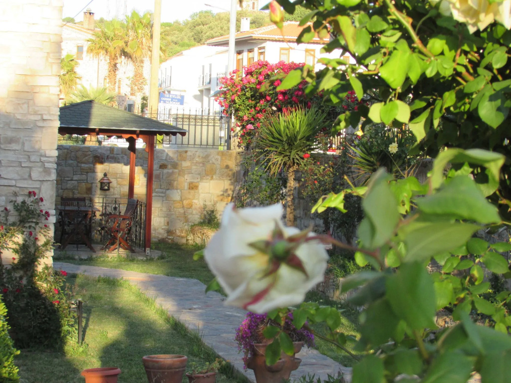Hotel Alya
