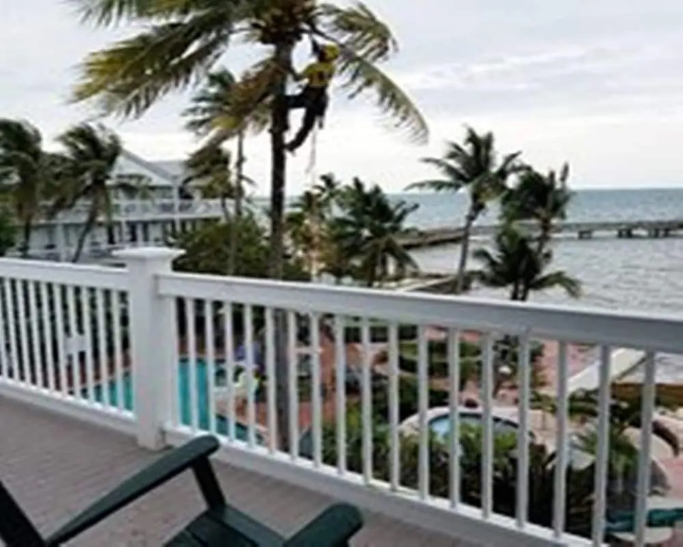 Coconut Beach Resort
