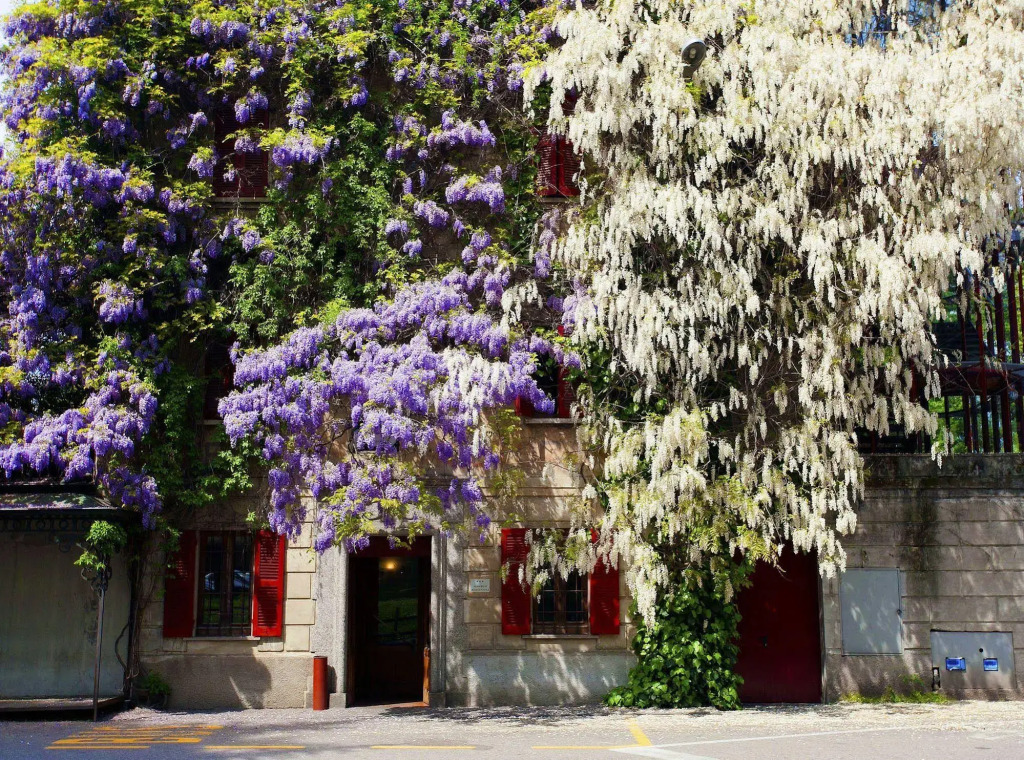 Albergo Ristorante Madonnina