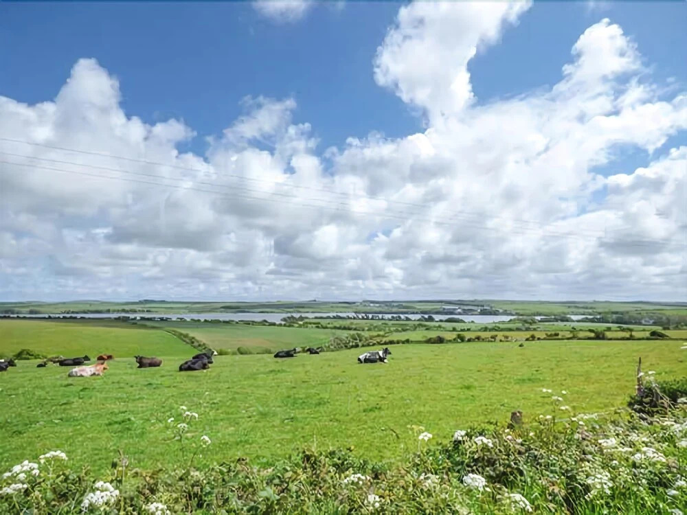 Fferam Y Llyn