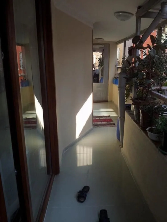 Nelly Guesthouse