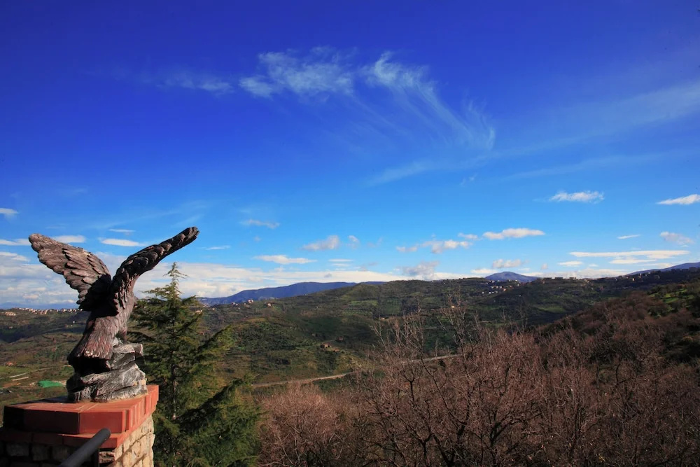 Il Falco del Cilento
