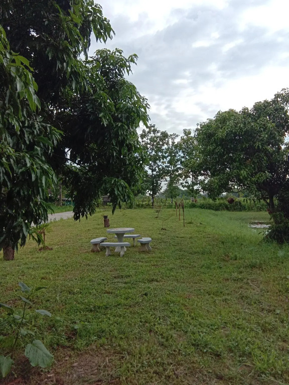 หม่อนเมือง รีสอร์ท