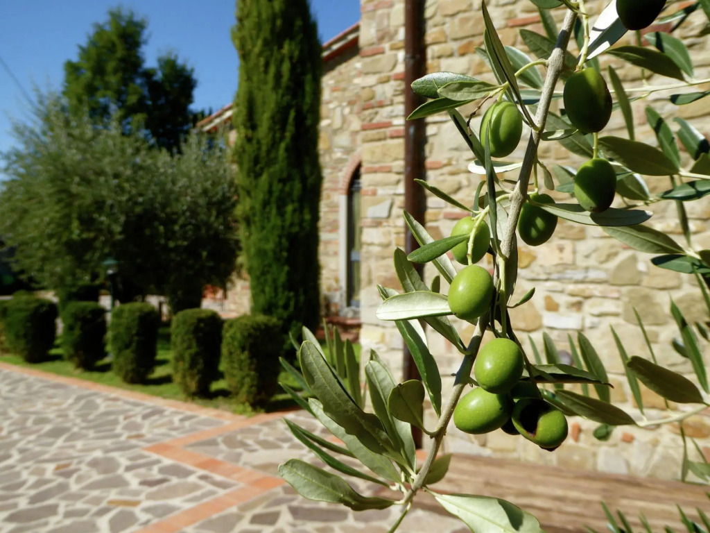 Attractive Apartment in Farmhouse with Pool in Beautiful Surroundings