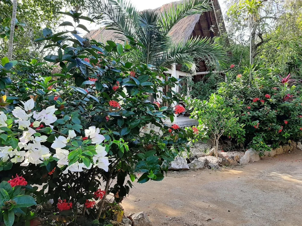 Esencial Tulum