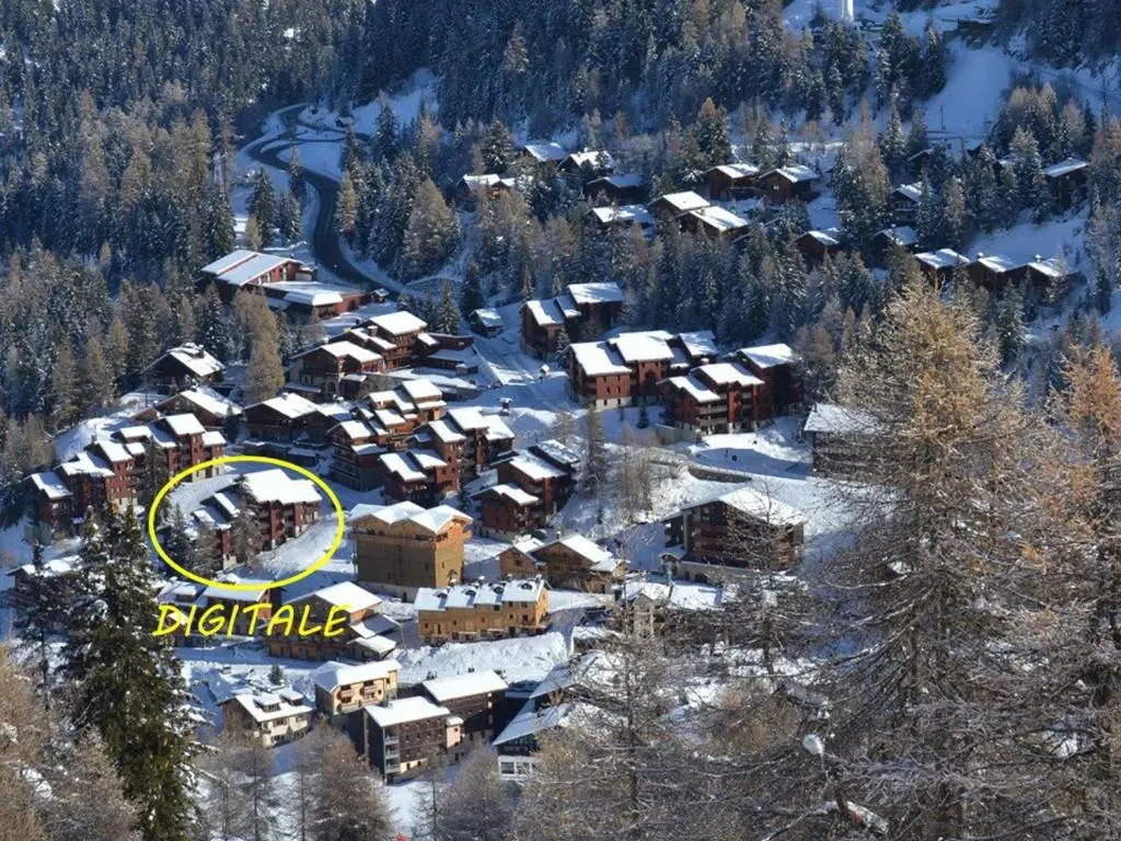 Appartement Plagne 1800, 2 pièces, 4 personnes - FR-1-455-149