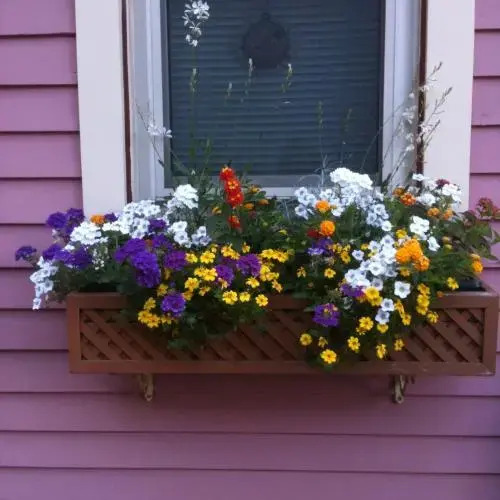 Rose & Thistle Bed & Breakfast