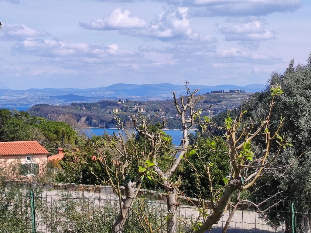 Apartma Sonja 2 piran