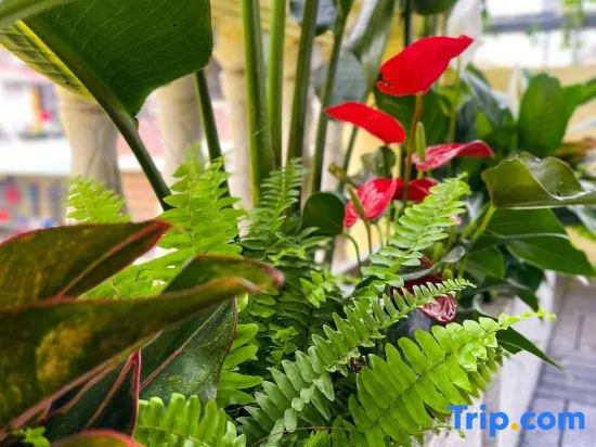 60 Thuoc Bac Homestay