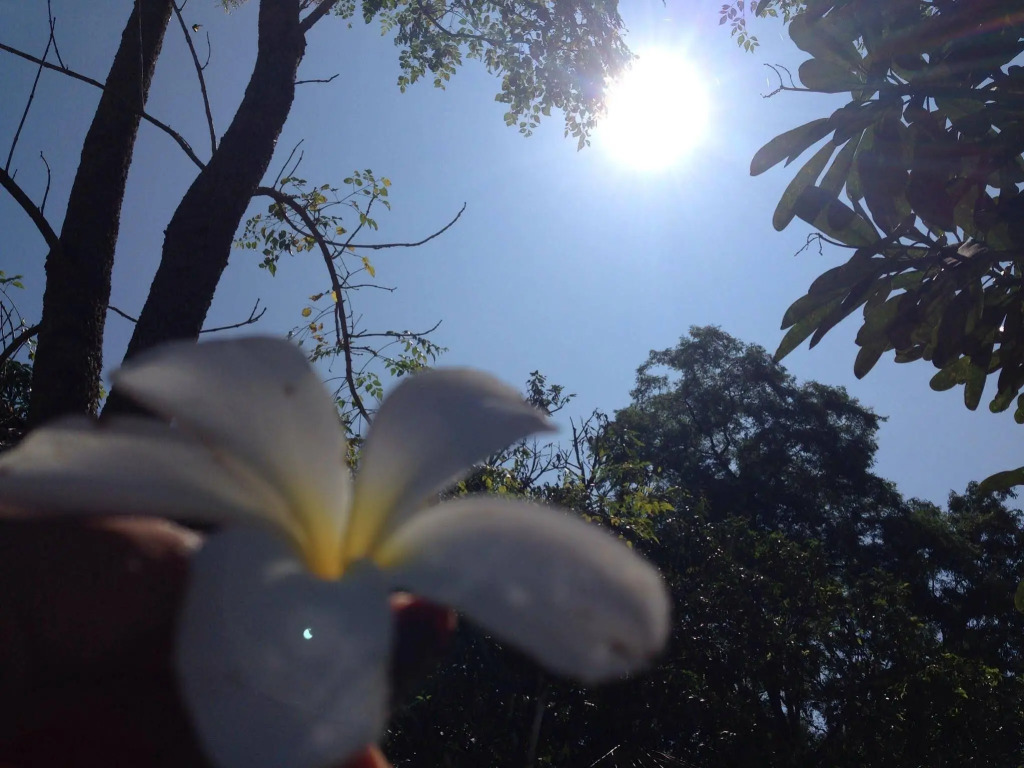Kod-Pai Guest House