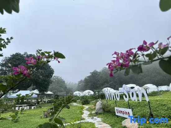 NiNo San Glamping - Pak Chong