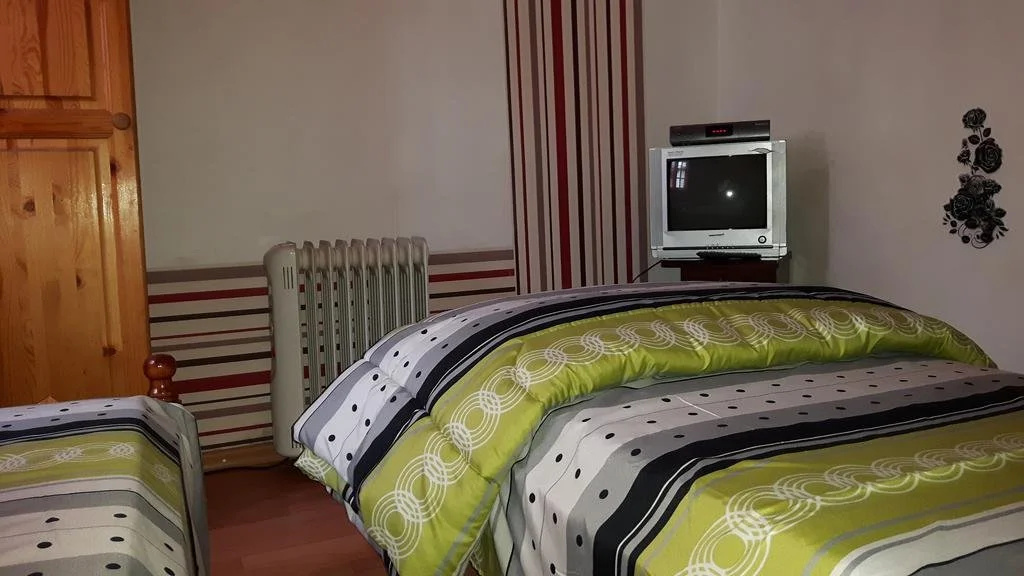 Hostel Alex