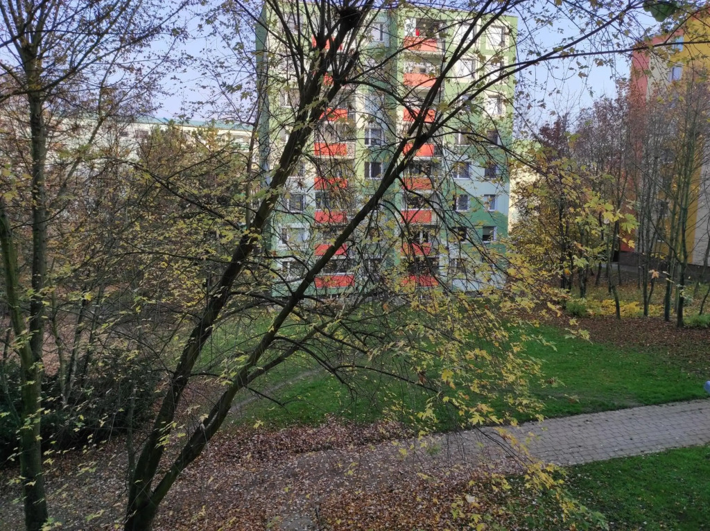 Stiborka