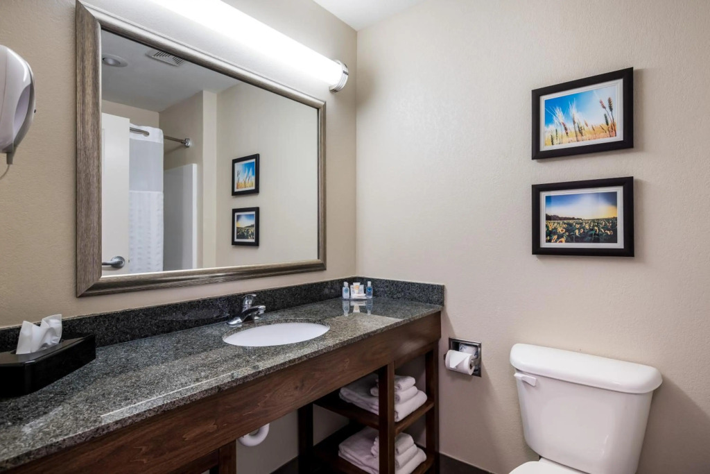 Comfort Inn Bonner Springs Kansas City