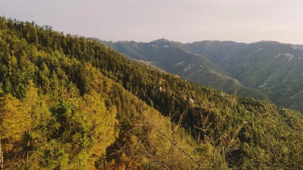 Hotel Hilton View Shimla