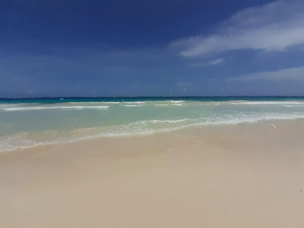 Playa las palmas