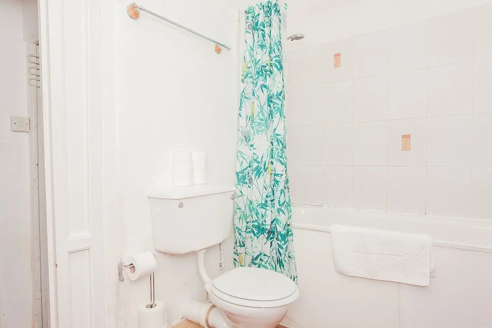 1 Bedroom Apartment in a Historic Building