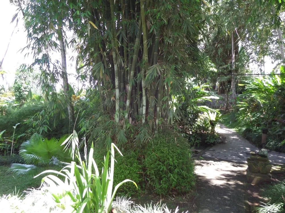 Sayan Terrace Resort