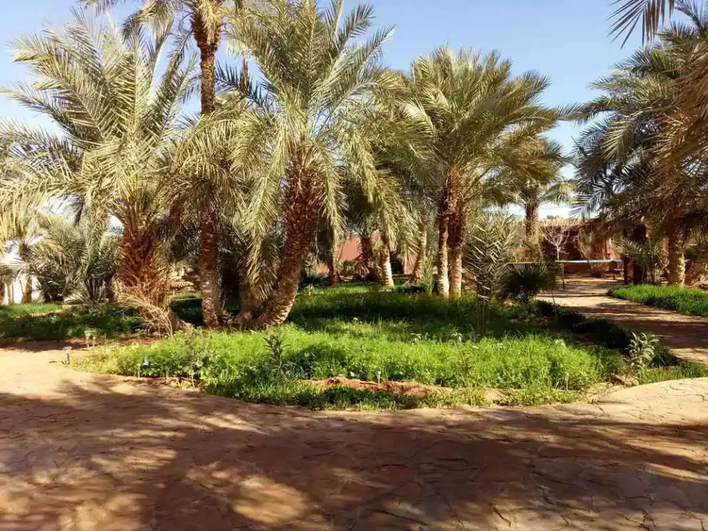 Residence Tin Habib