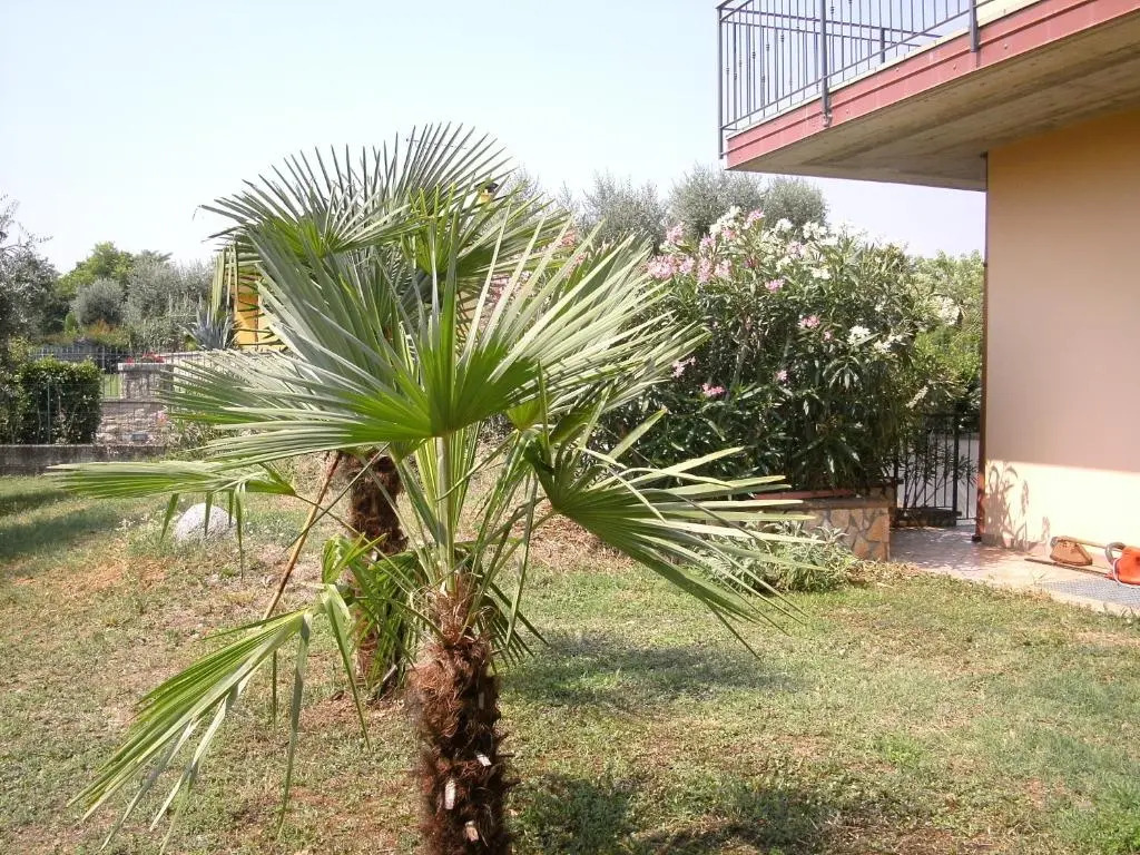 B&B Agli Ulivi