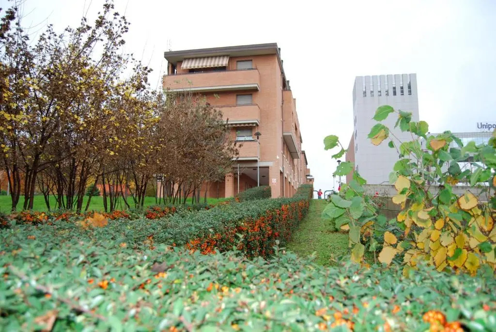 Zer051 Apartment Dossetti 23