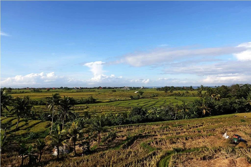William's Place Bali