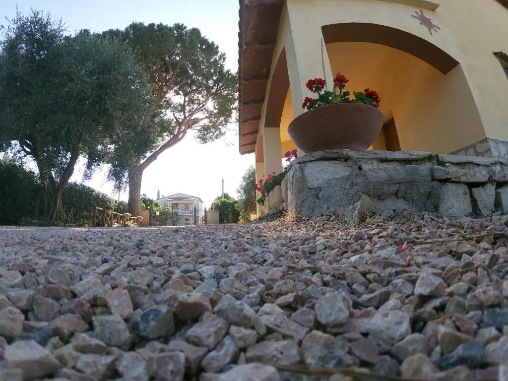 Podere 406