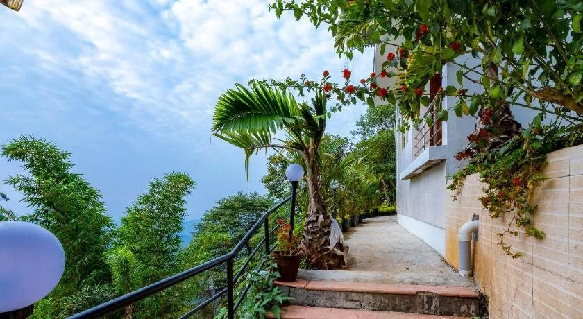 Mist Inn Resort