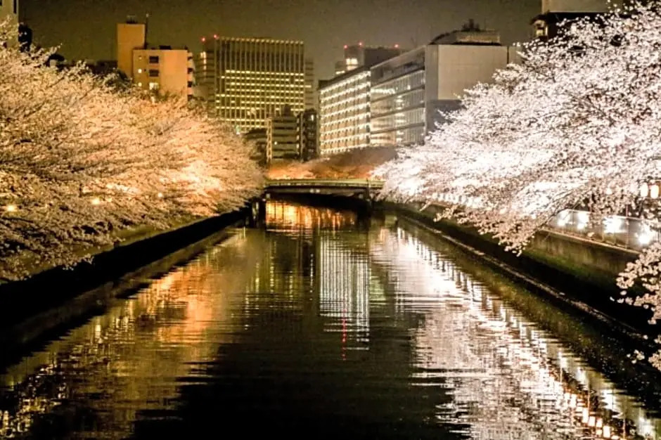 Prime Suites Tokyo