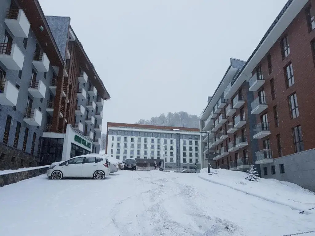 Cozy Apartment in Orbi Bakuriani