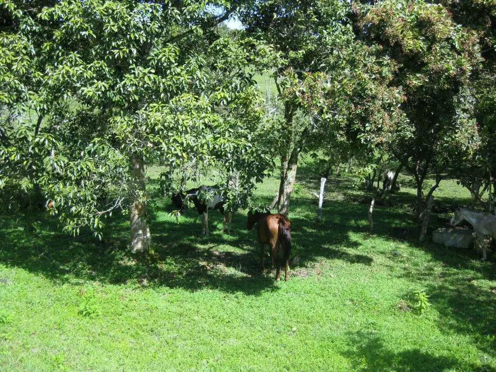 Finca El Cielo