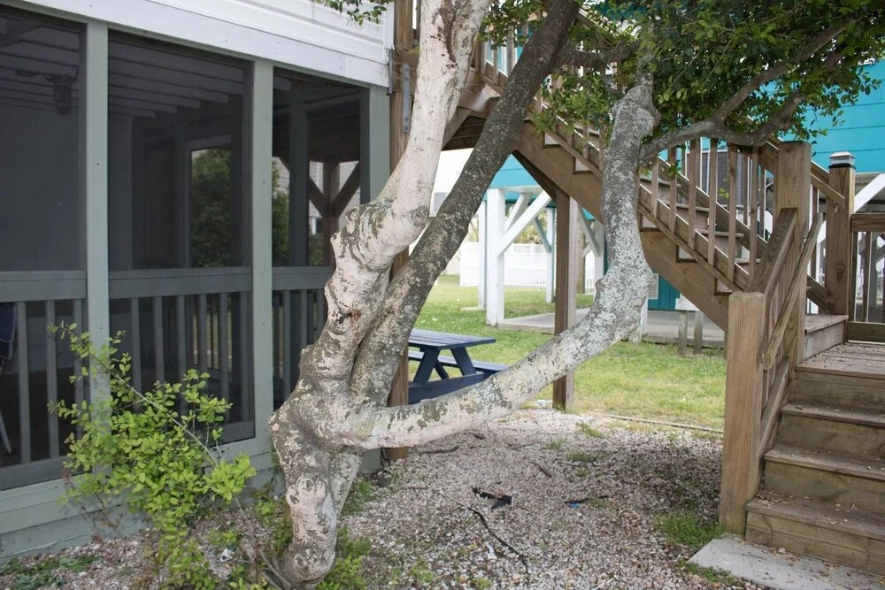 THE GALLERY-Ideal for 10-12 but Sleeps 18 Holiday home 5 BestStayz.1