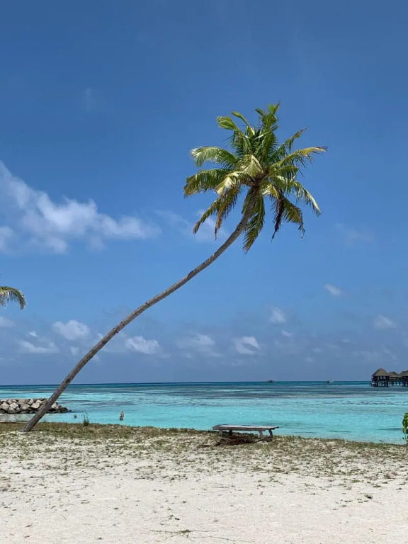 Courtyard Maldives