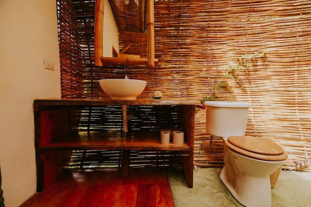 The Seed Habitat