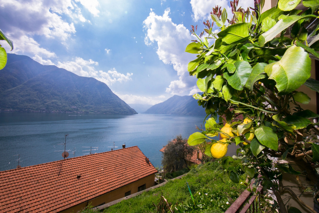 Bella Lake View