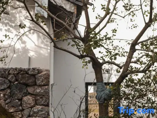 Shaxi Village Side · HVILLA Farm Holiday Inn (Dali Jianchuan Shaxi Ancient Town Store)