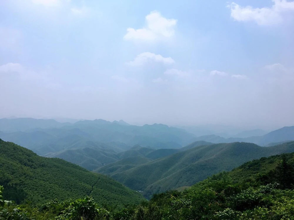 Moganshan Bamboo View Guesthouse