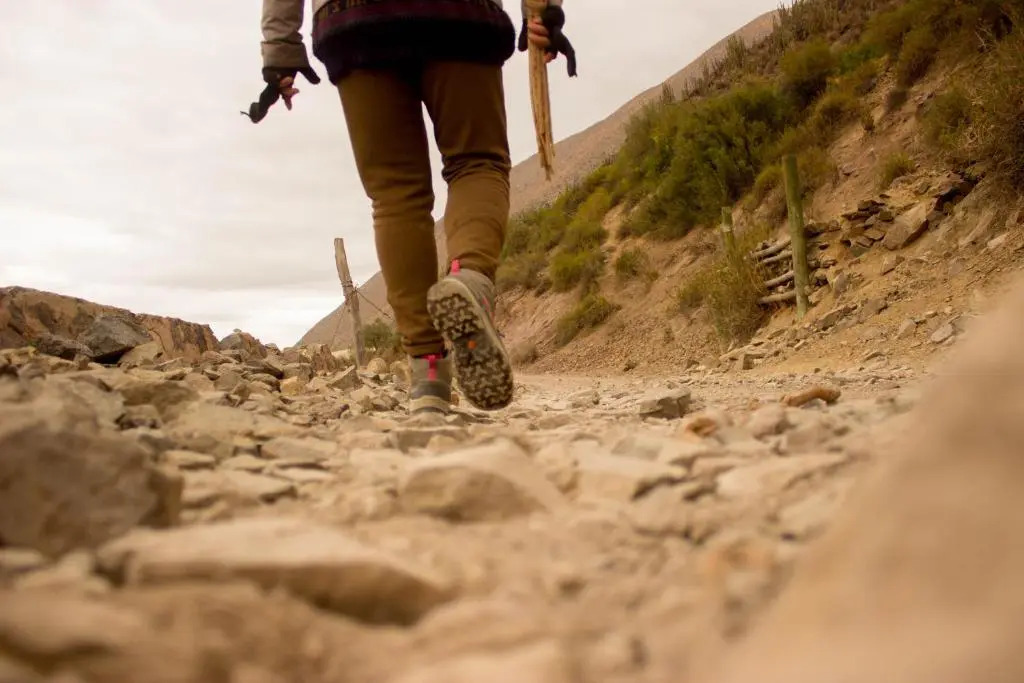 Astro Camping Elqui Experience