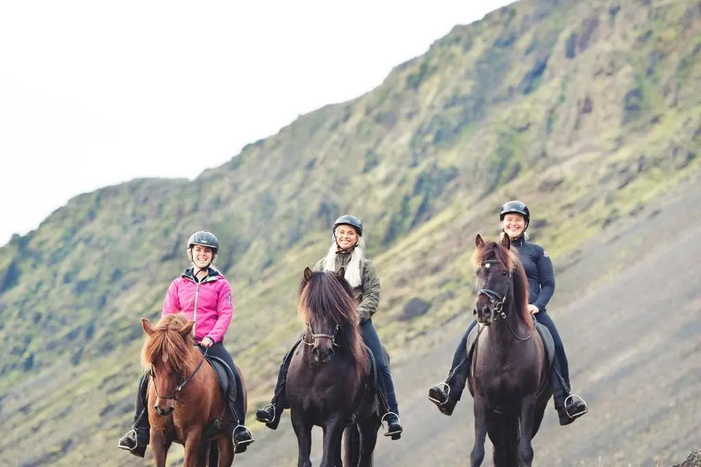 Akurgerði Guesthouse 2 - Country Life Style