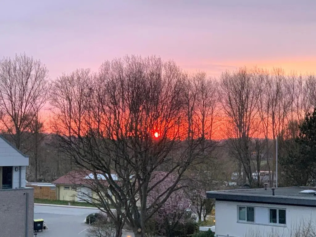 Bellevue Nr. 35
