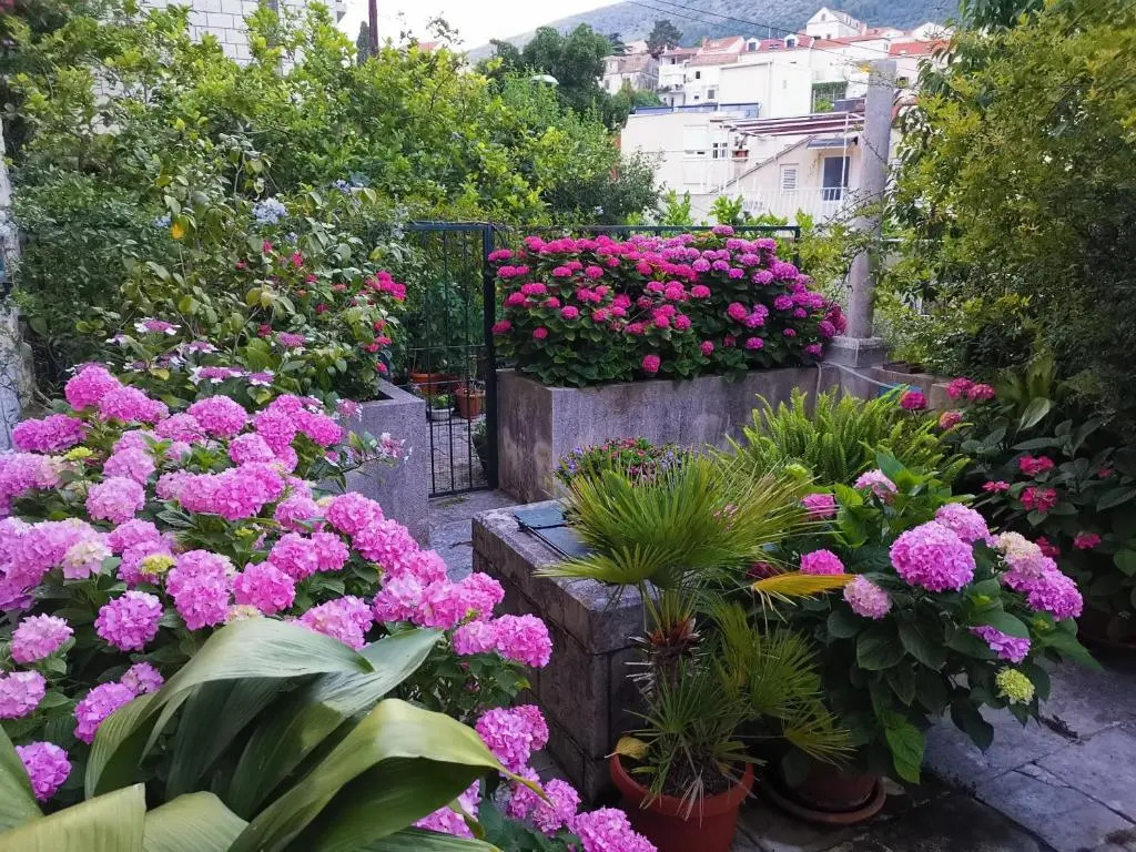 Apartments Sensa Dubrovnik