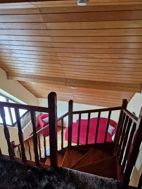 Vila Pinul si Mesteacanul