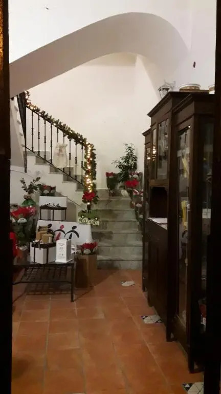 Martucci 83