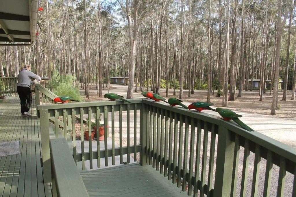 Lakes Entrance Log Cabins
