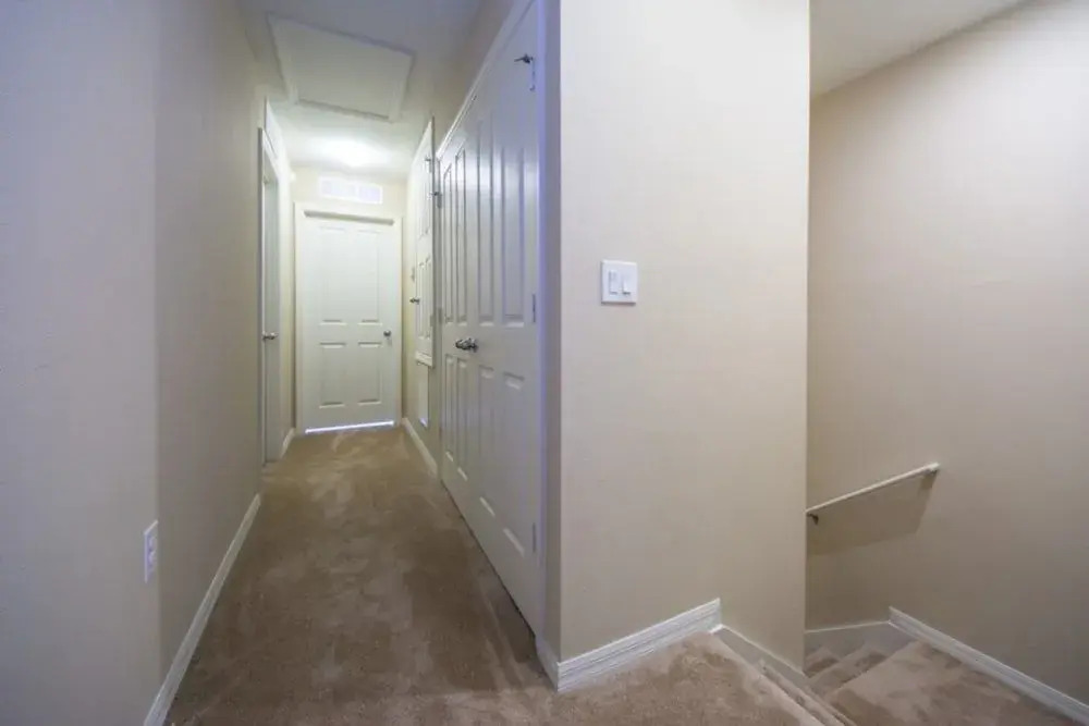 Compass Bay 3181