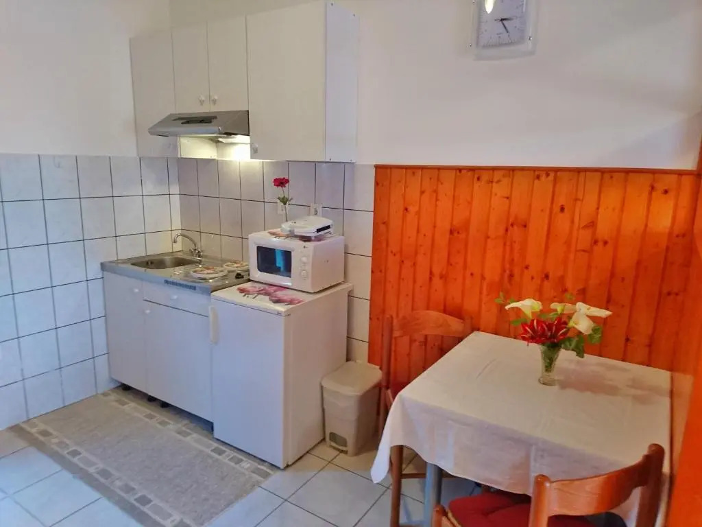 Apartments Radis