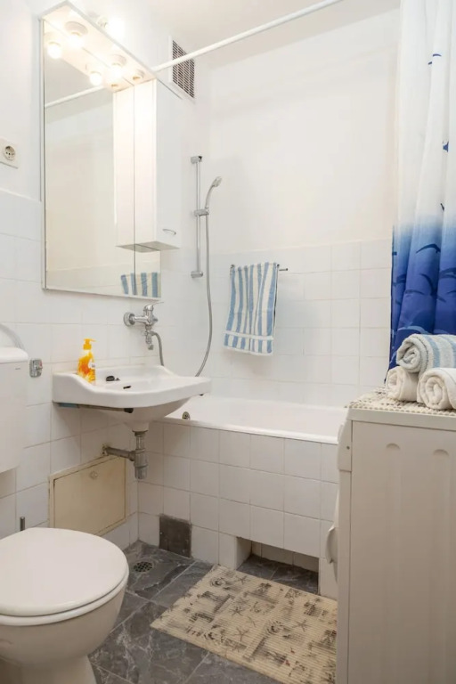 Apartment Anica