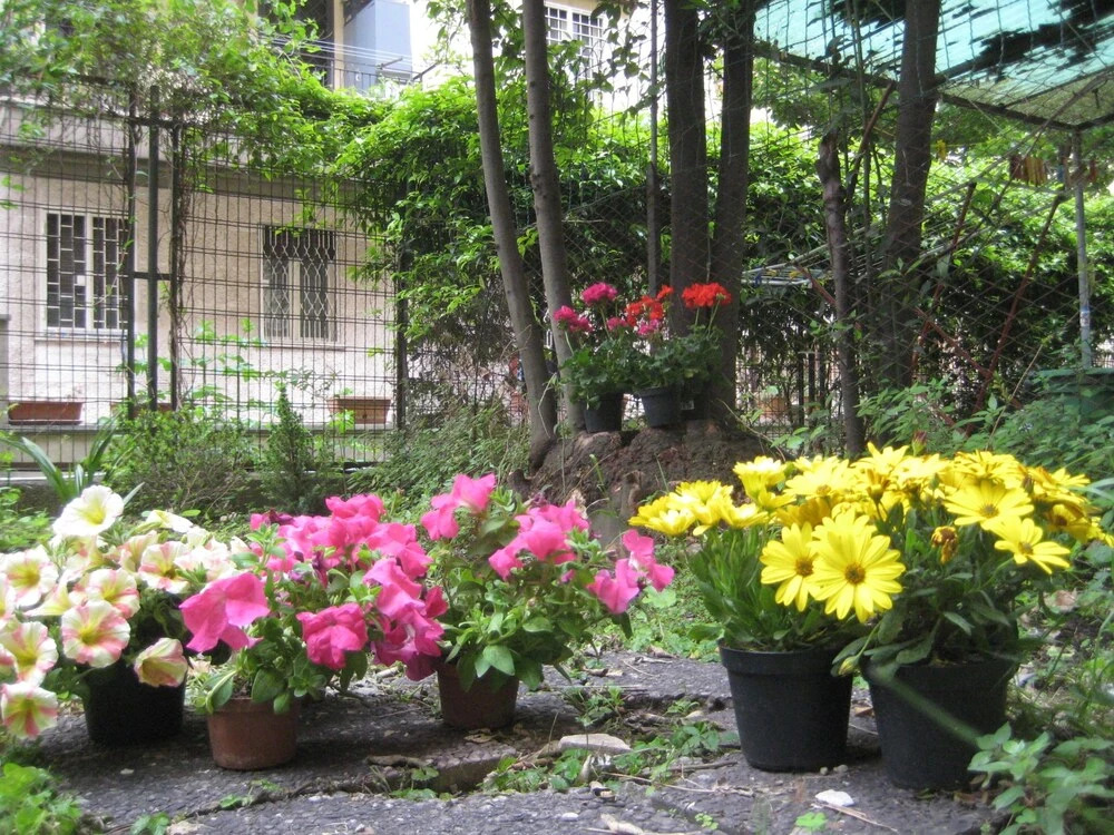 La Casa Di Valeria