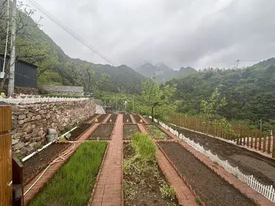 Manshan Shishe Homestay