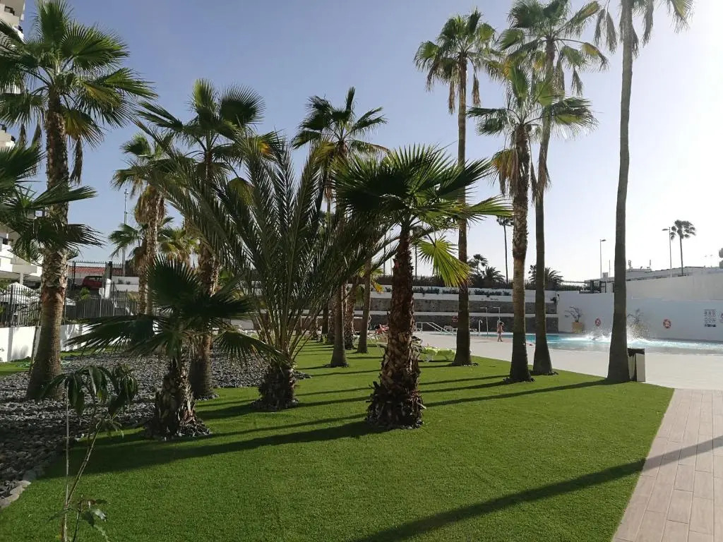 Playa del Ingles 540